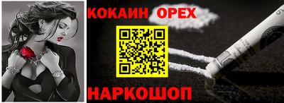 спиды Кингисепп