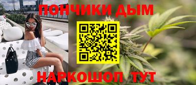 спиды Кингисепп