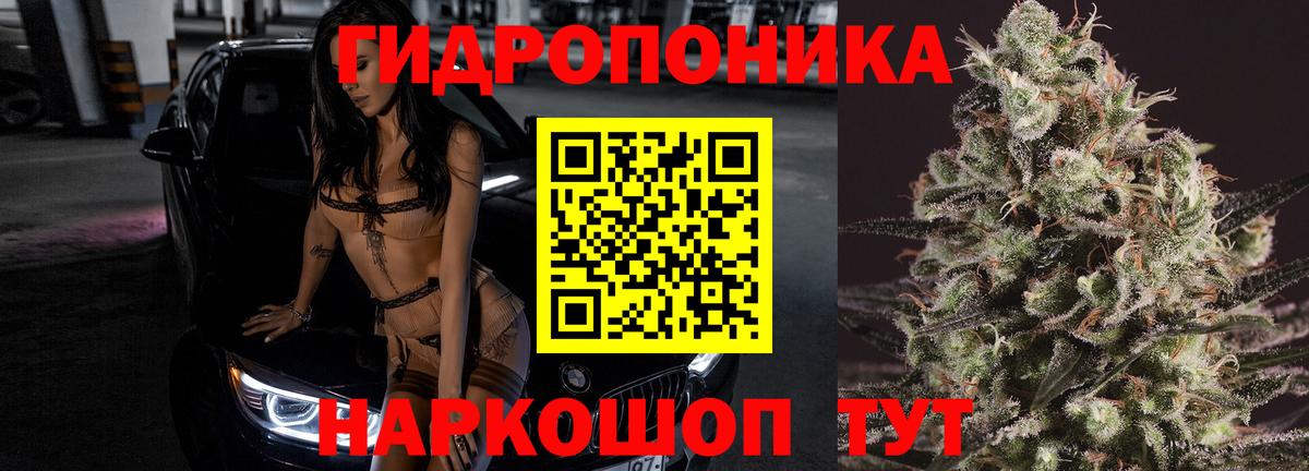 Марихуана Ganja  Вход с VPN  Кохма  Канабис марихуана  Каннабис MAZAR  Каннабис SATIVA & INDICA 